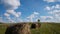 Hay bales field against lone tree