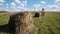 Hay bales field against lone tree