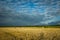 Hay bales in a field in eastern Poland, dark clouds on blue sky