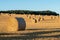 Hay bales on the field after harvest. Agricultural field.
