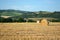 Hay bales on field in late summer