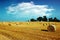 Hay bales in golden field