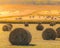 Hay bales on golden field at sunset