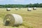 Hay bales in a grass gold field
