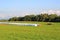 Hay bales in green field