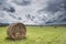 Hay bales on green field in eastern freestate South Africa