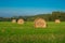 Hay bales on green grass