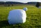 hay bales on the green meadows in the Bavarian village Birkach (Germany)