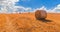 Hay bales landscape of yellow grass fields under blue sky with white clouds, agriculture and nature and relax, climate change