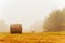 Hay bales on the lawn. foggy morning on the lawn