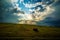 Hay bales lay in a freshly mowed field