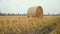 Hay bales in the Lomellina countryside during autumn