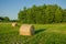 Hay bales lying in a meadow, forest and cloudless sky