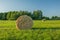 Hay bales lying on a sunlit meadow, green forest and clear sky