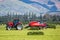 Hay bales and made in summer with a tractor and baler on a farm in New Zealand