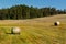 Hay bales on the meadow. Harvesting dried hay. Pushed meadow.