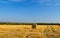 Hay bales in a newly mowed and raked field