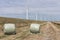 Hay bales packed in plastic wrap with wind turbine farm