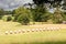 Hay bales in a pasture in golden sunlight after a storm