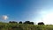 Hay bales in a pasture timelapse