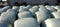 Hay bales with plastic film for weather protection