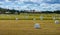 Hay bales in plastic wrap on summer field