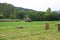 Hay bales ready to collect in the landscape