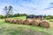 Hay Bales Ready For Winter