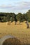 Hay bales ready for winter