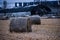 Hay bales in a rice paddy in the winter.