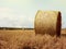 Hay bales rolls on the field after harvest. Light