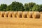 Hay Bales in a Row in a Summer Sunny Day - Padan Plain Italy