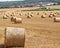 Hay bales in rural kent