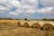 Hay bales in Rural Sussex on a summer\\\'s day