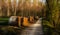 Hay bales on the Sile riverside north Italy at sunset.