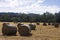 Hay bales sitting in paddock