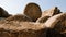 Hay bales are stack large stacks. Harvesting in agriculture. Hay bales straw storage shed full of bales hay on