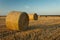 Hay bales on stubble, sunny evening, Lubelskie Province, Poland