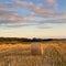 Hay Bales in summer, Dorset, UK