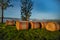 Hay Bales at sunrise on a freezing frosty day with low mist and fog rolling