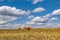 Hay bales under cloudy sky on harvested wheat field