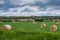 Hay bales under dramatic sky