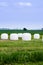 Hay bales and windturbines