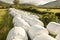 Hay balls in white plastic cover wrap bales