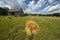 Hay and Barn on Old Vintage Wisconsin Dairy Farm