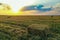 Hay block on mowed field on day. Agricultural industry