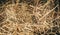 Hay close up bale background wallpaper macro stack beige tangled straw yellow gold