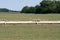 Hay crib at cattle feeding operation