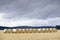 Hay crop bales rolled in field by farmer on farm for harvesting