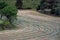 Hay cut in field lies in rows and dries. livestock feed hay